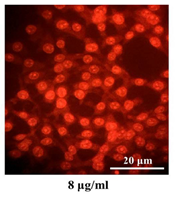 Jentashapir J Cell Mol Biol